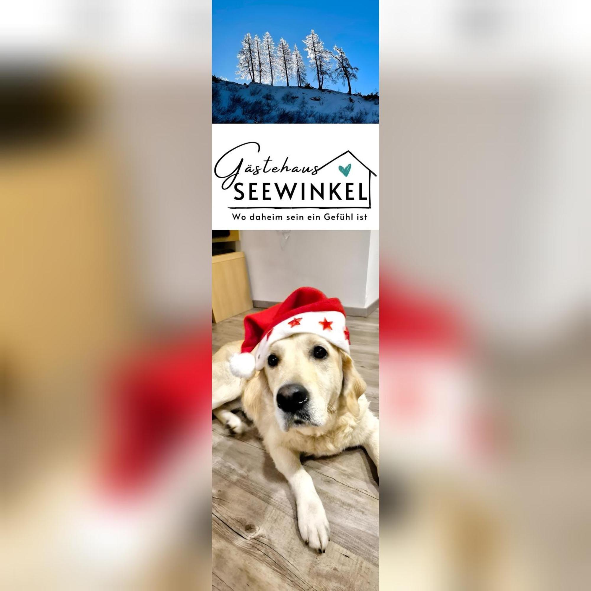 Gaestehaus Seewinkel 普雷瑟格尔塞 外观 照片